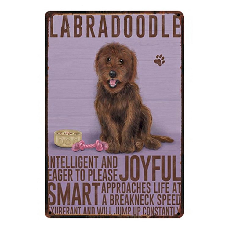 Labradoodle Dog- Vintage Tin Signs - 20*30CM