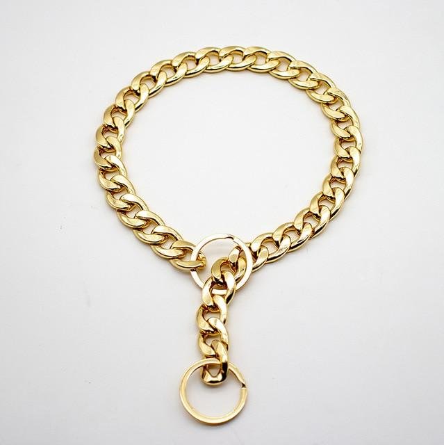 Gold Dog Chain Pet Accessories-Mayoulove