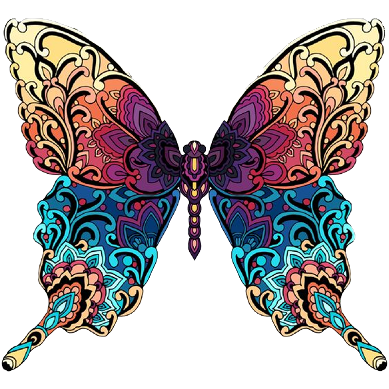 Colorful butterfly  Jigsaw Puzzle(CHRISTMAS SALE)-Ainnpuzzle
