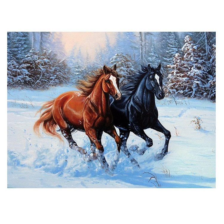 Two Horse - Partial Round Drill Diamond Painting - 40x30cm(Canvas)