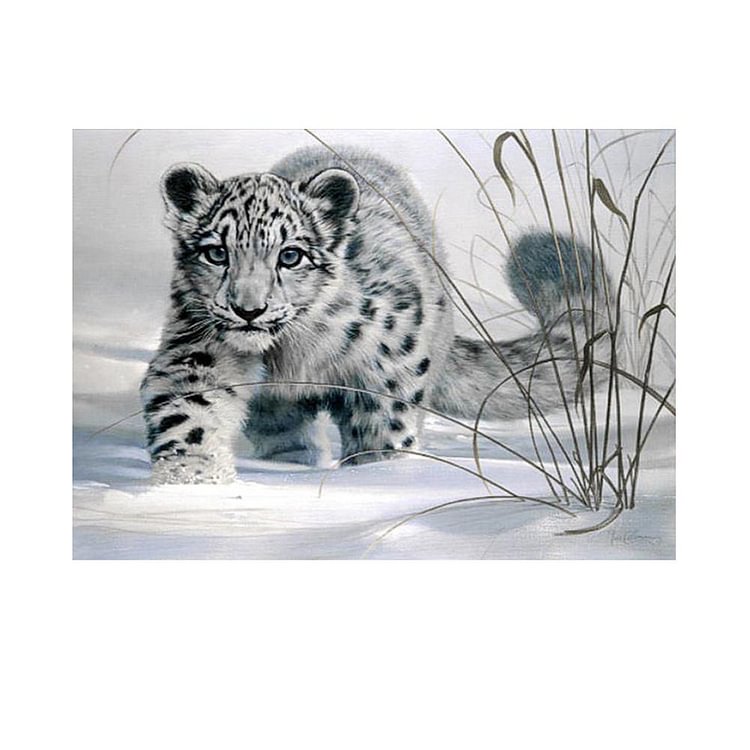 Snow Leopard - Round Drill Diamond Painting - 40x30cm(Canvas)
