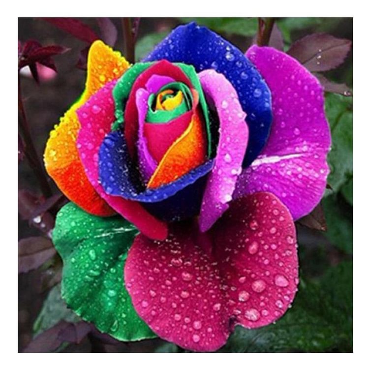 Rainbow Rose peinture broderie bricolage Artisanat 5D Diamond Kit point de croix
