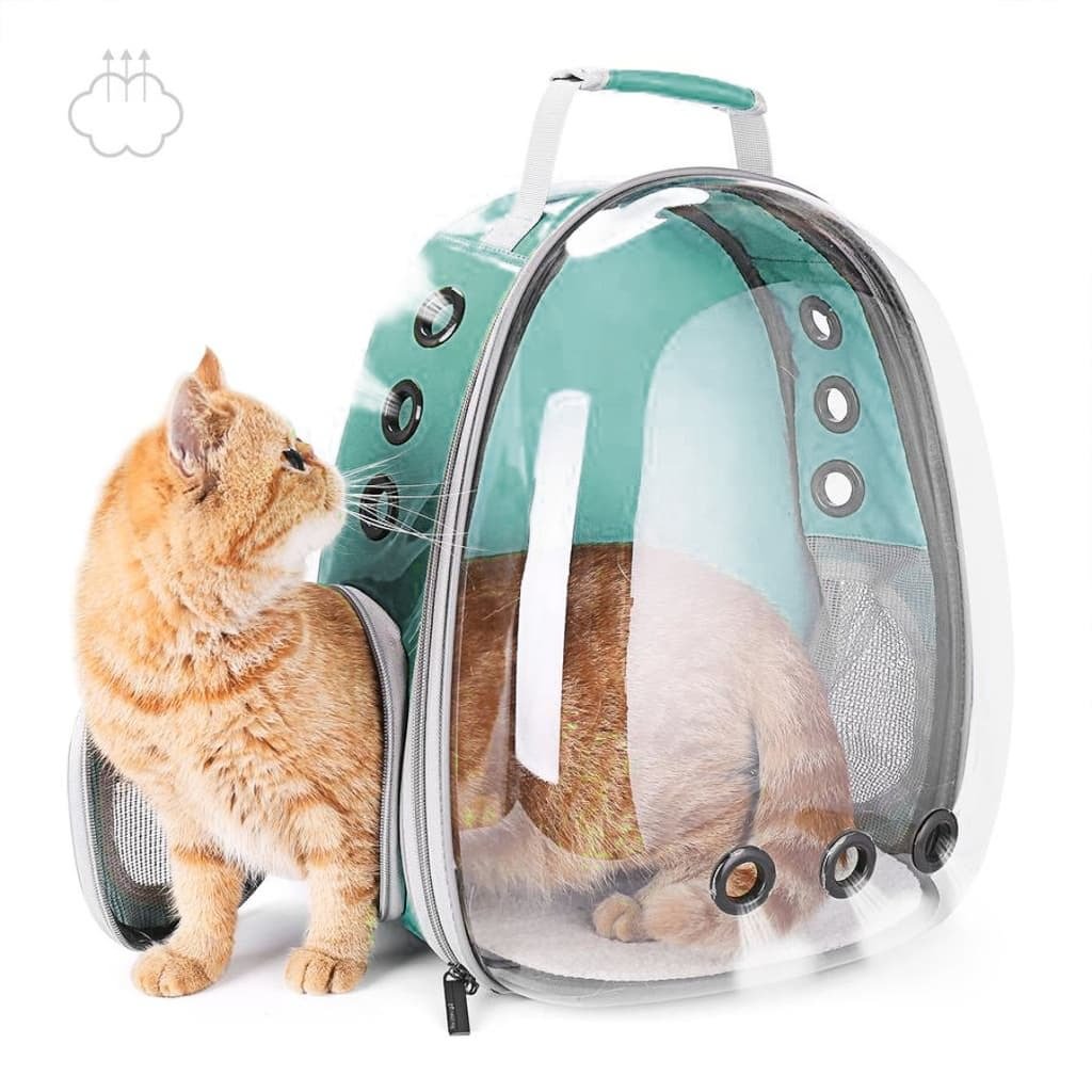cat backpack transparent