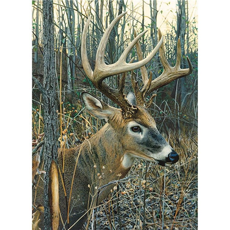 Deer Nature - Diamant Carré complet - 40x30cm