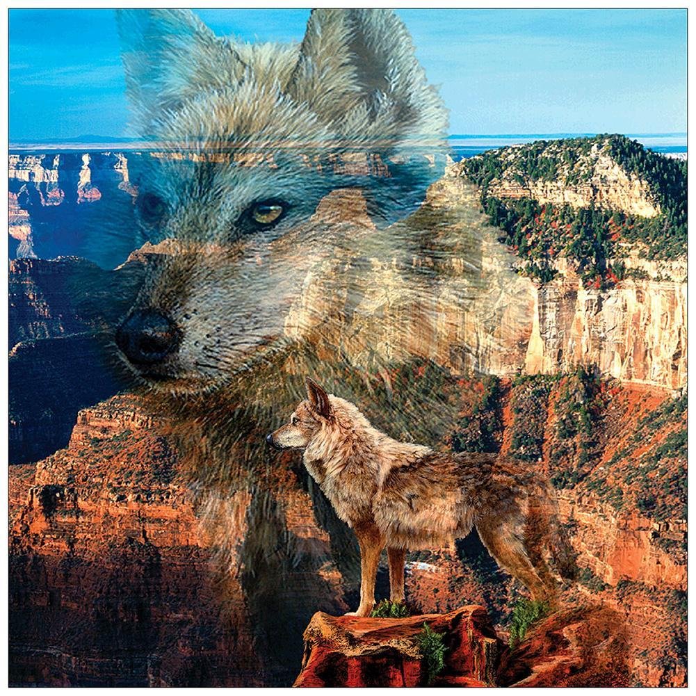 Full Round Diamond Painting Wolf (30*30cm)