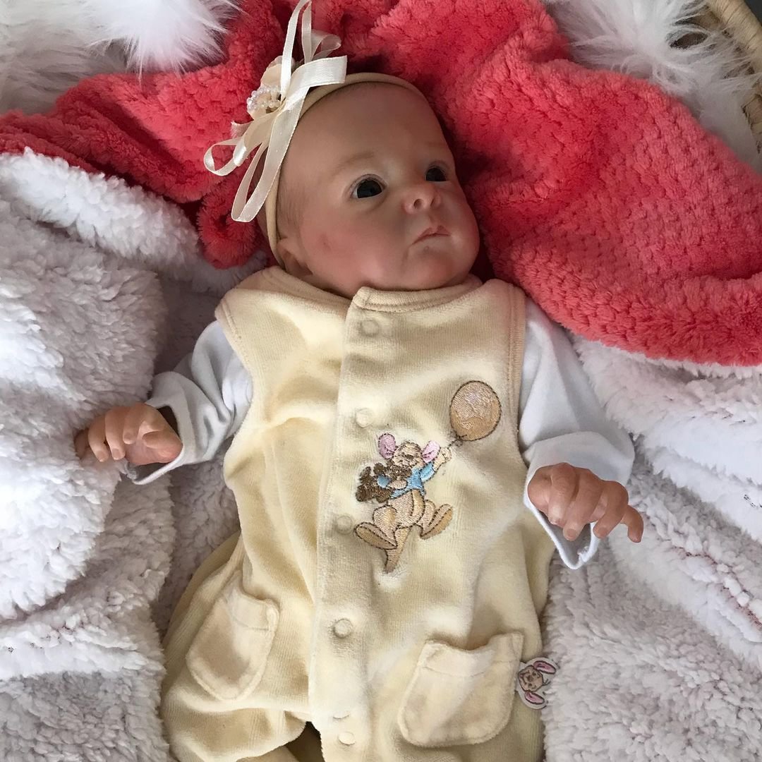 17'' Soft Lifelike Full Body Reborn Baby Doll Named Bristol