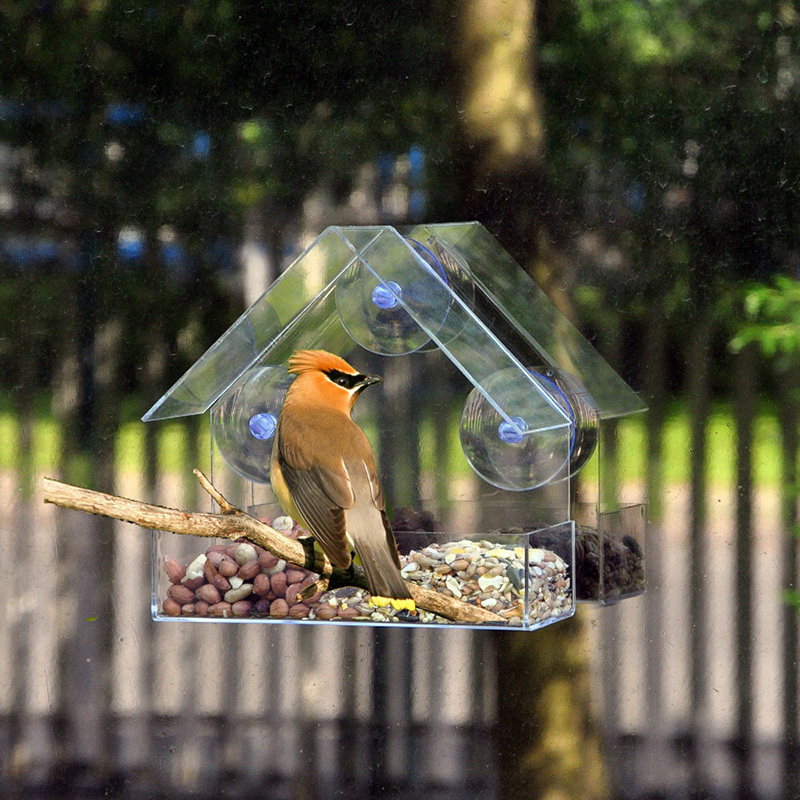 Window Bird Feeder- See Songbirds from Home - vzzhome
