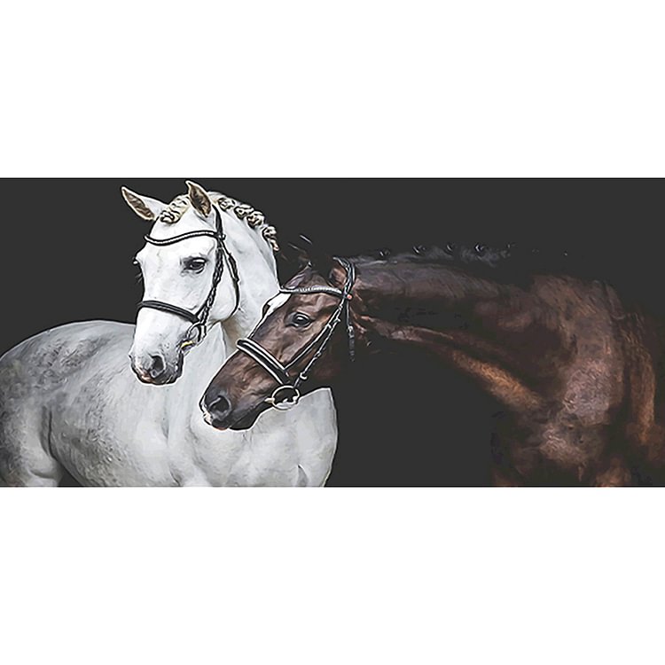 Two Horses - Round Drill Diamond Painting - 100*50CM (Big Size)
