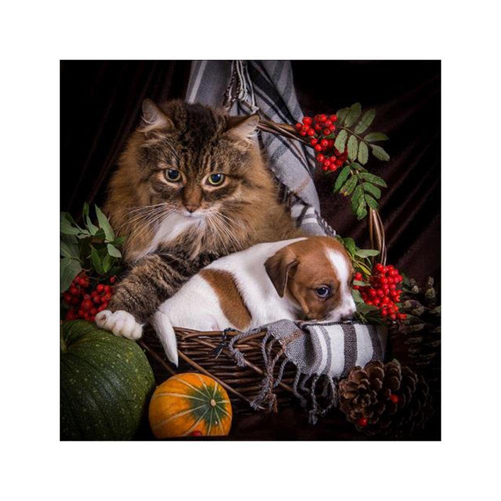 Full Round Diamond Painting Cats Dogs (30*30cm)