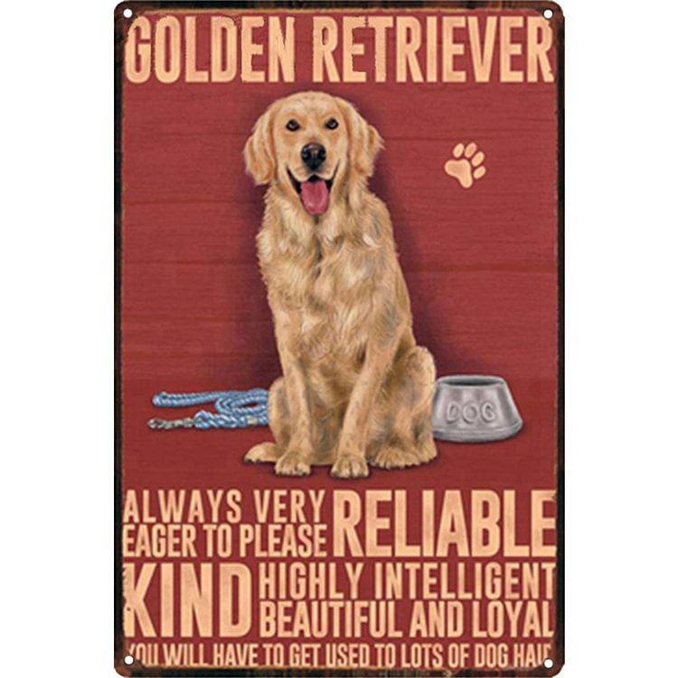 Golden Retriever Dog - Vintage Tin Signs