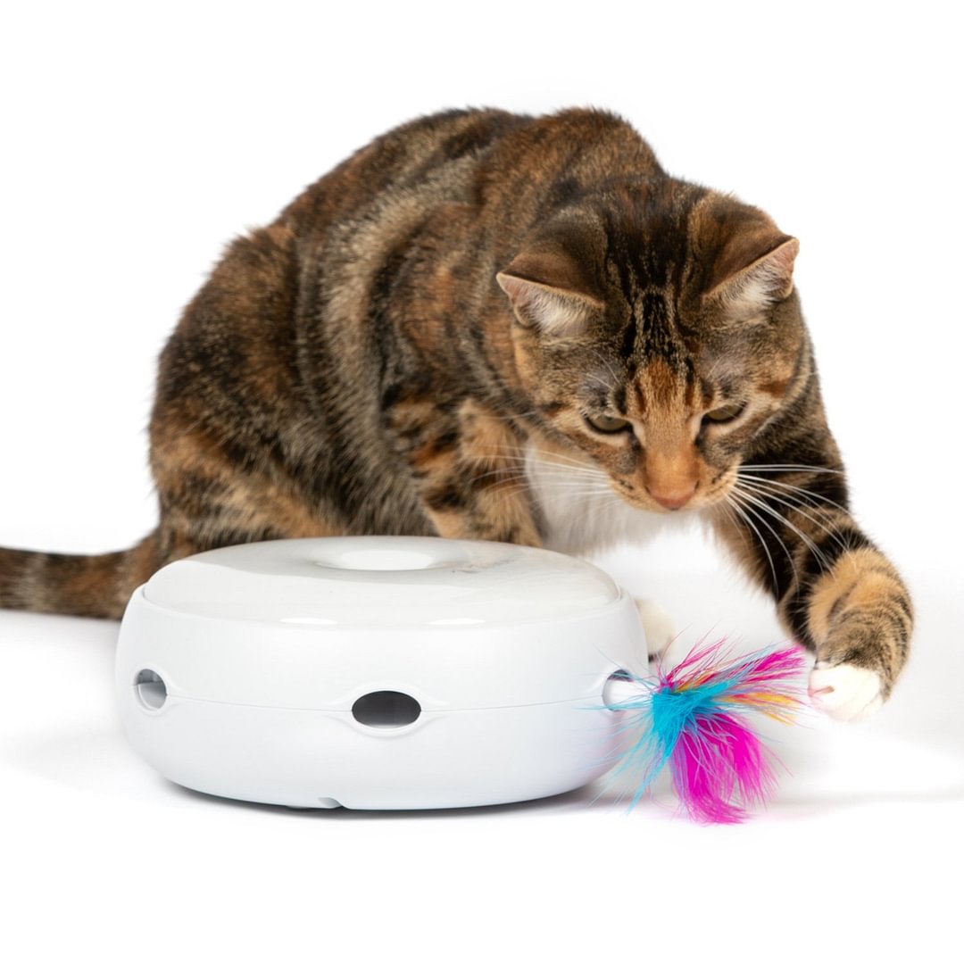 PetFusion AMBUSH INTERACTIVE Electronic Cat Toy