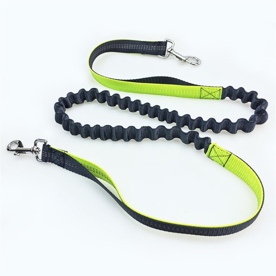 Hands Free Dog Leash with Waist Pocket - Adjustable Reflectance   