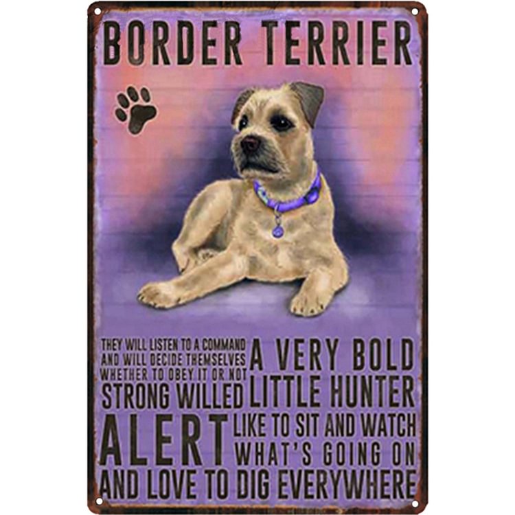 Border Terrier Dog - Vintage Tin Signs
