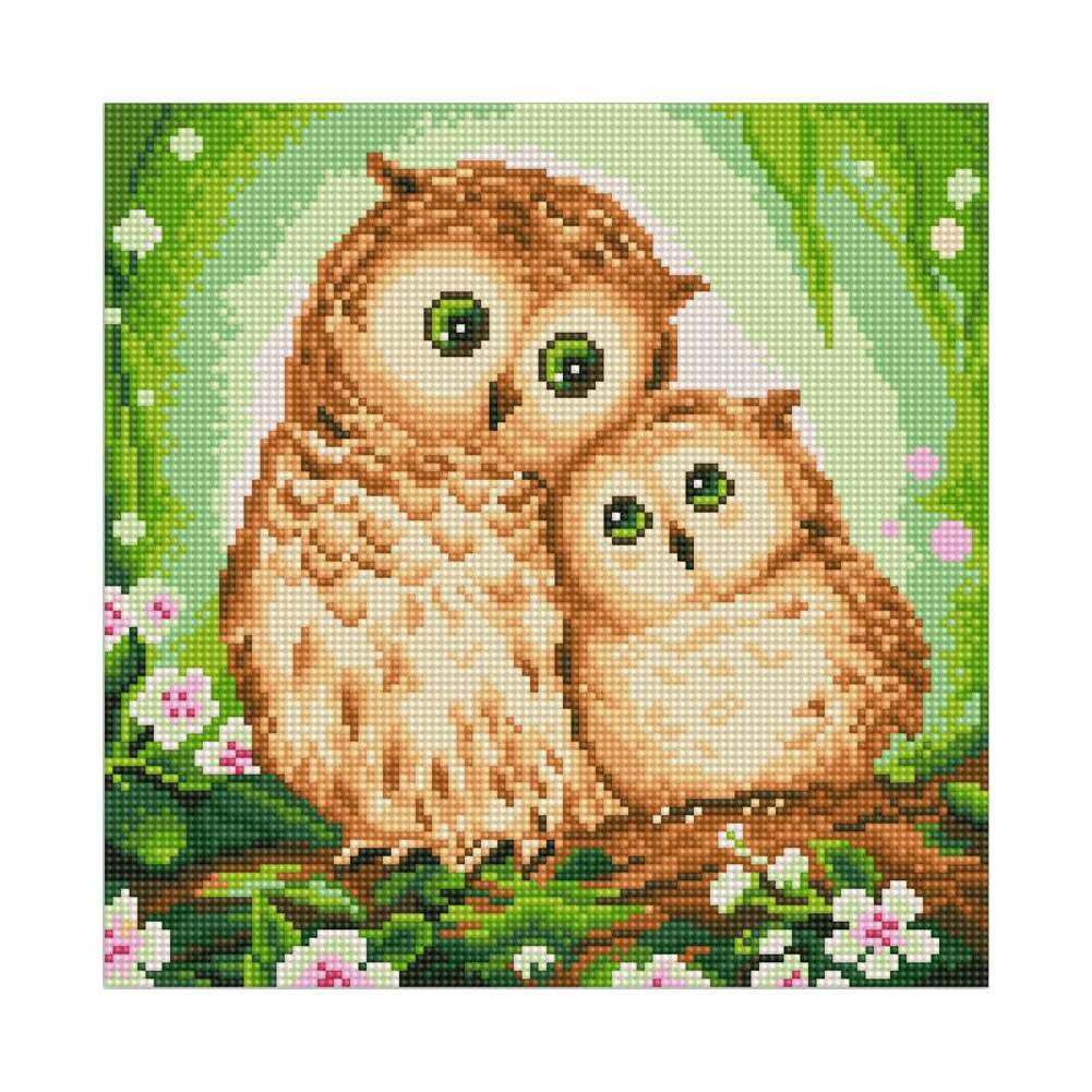 Full Round Diamond Painting Owls (30*30cm)