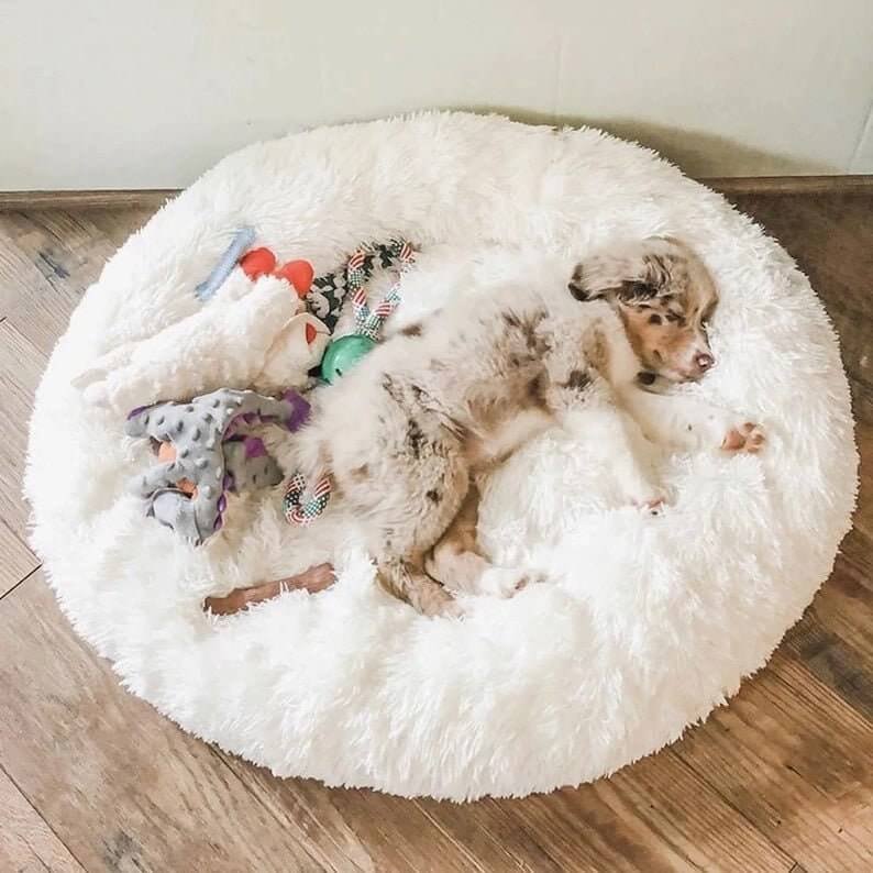 White Donut Pet Bed for Cat and Dogs