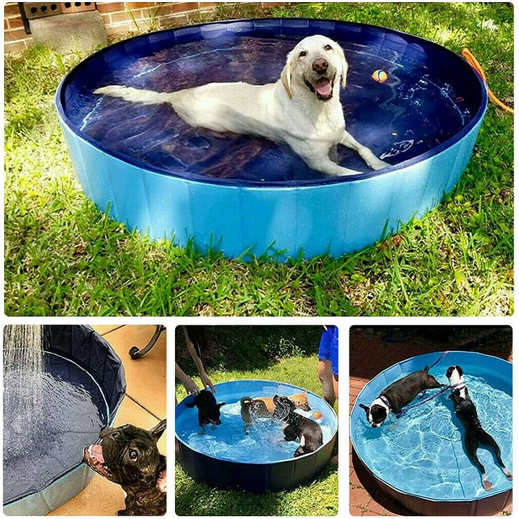 Dog Pool - Foldable Kids And Dogs Swimming Pool - tree - Codlins