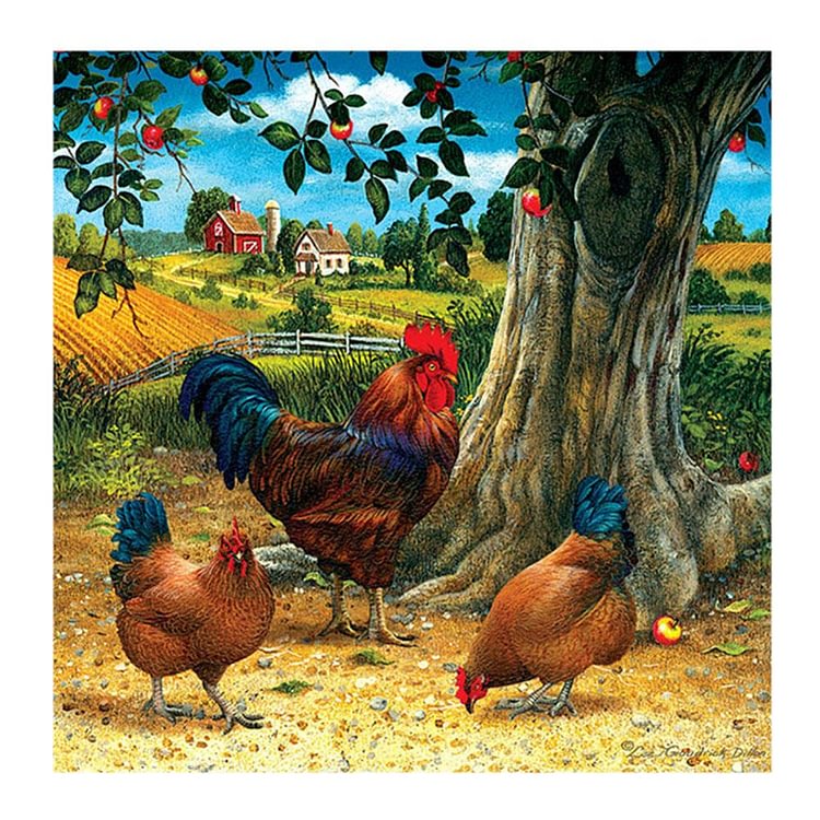 Chicken Round Drill Diamond Painting 30X30CM(Canvas)-gbfke