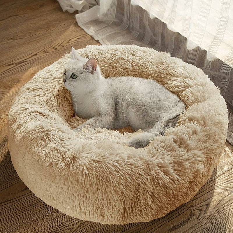 Orthopedic Cat Bed The AntiAnxiety Calming Bed for Cats