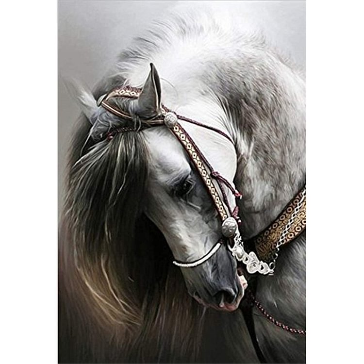 (Counted/Stamped)Cross Stitch DIY Horse Full Embroider Needlework