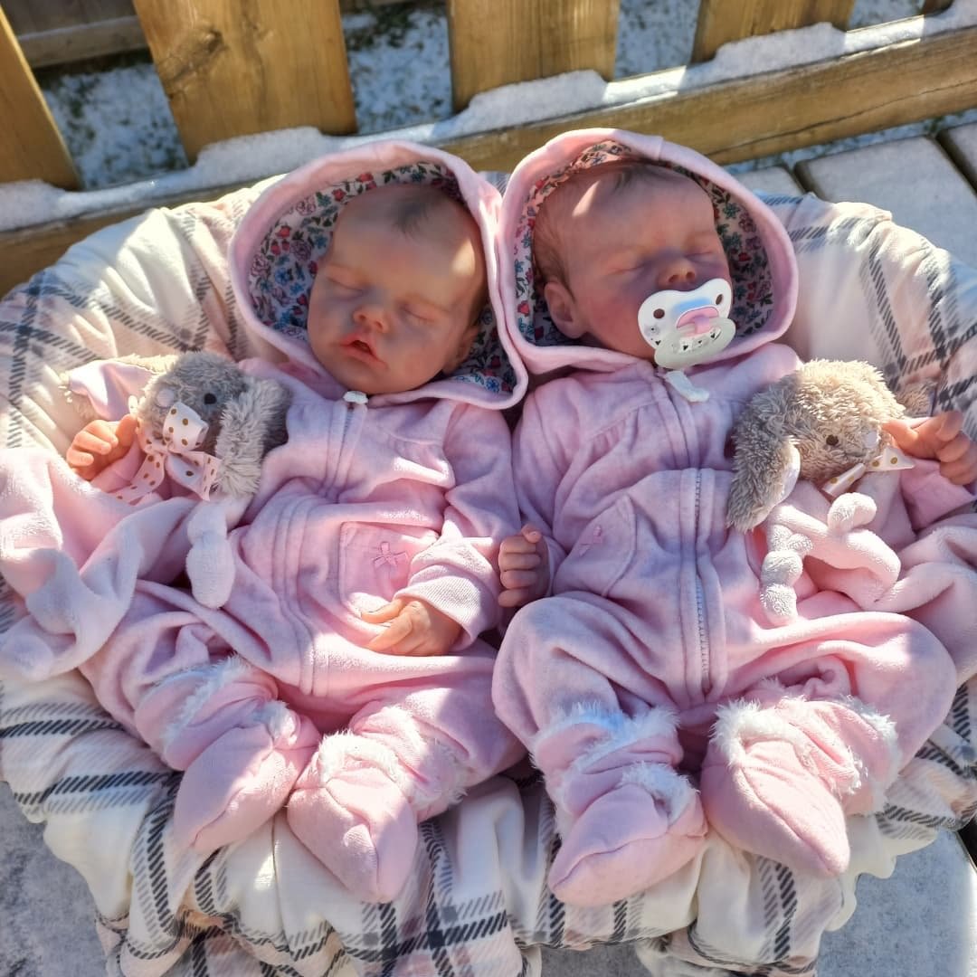 17" Lifelike Hand-painted Hair Reborn Twin Sisters Afra and Belinda