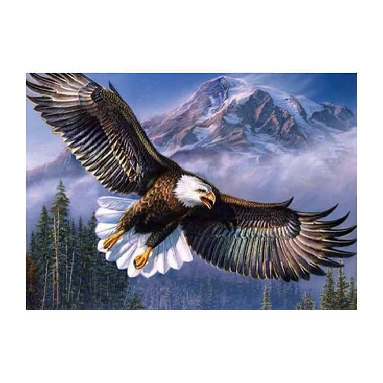 Eagle Wings - Round Drill Diamond Painting - 30*40CM