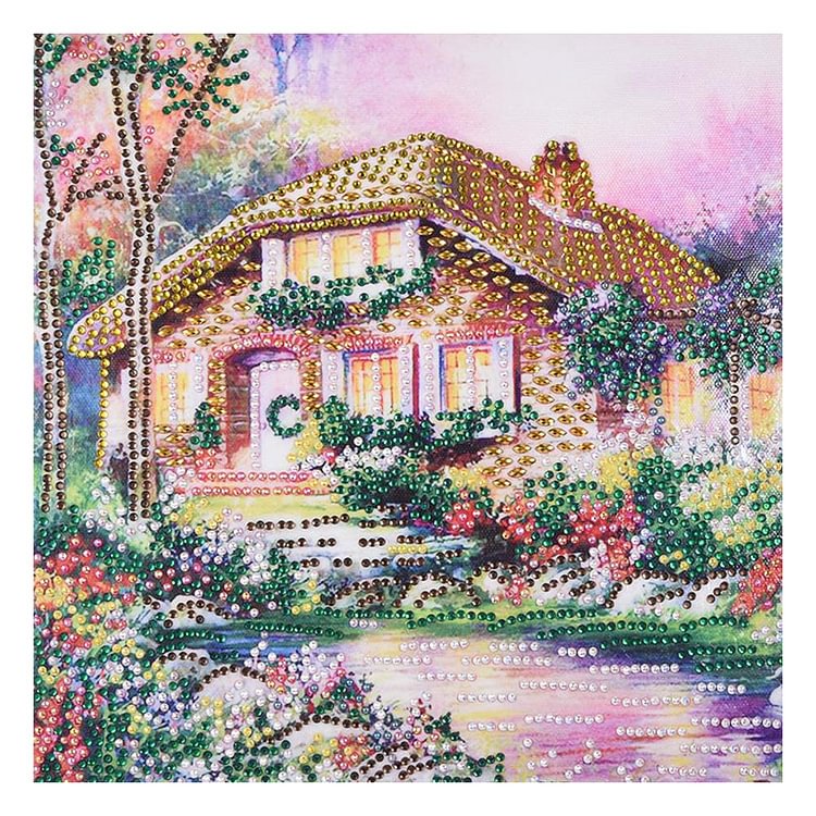 House Special Part Drill Diamond Painting 30X30CM(Canvas)-gbfke