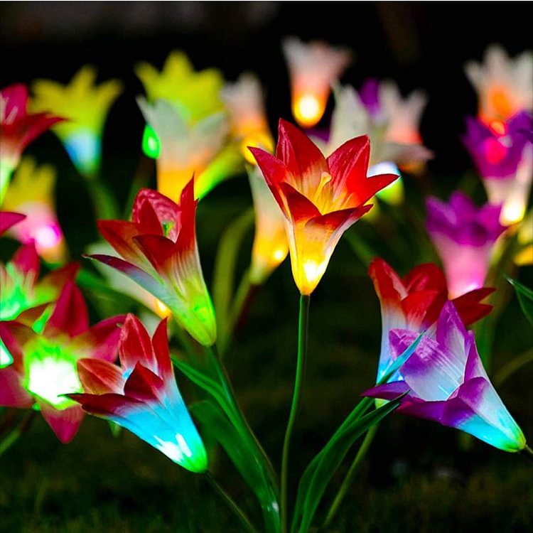 Solar Lily Flower Lights (Pack of 3 = 12 Flowers) - Sean - Codlins