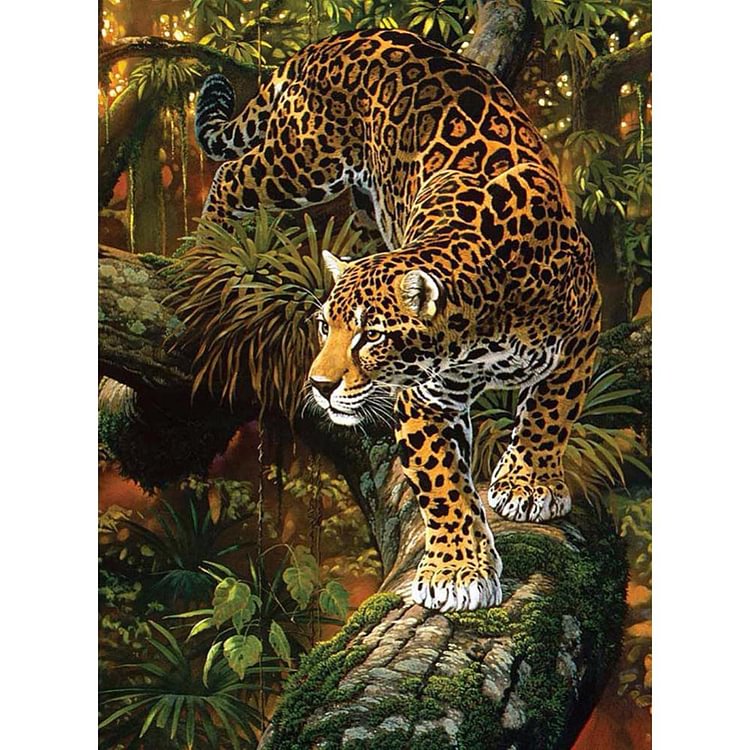 Leopard - Round Drill Diamond Painting - 40*30CM