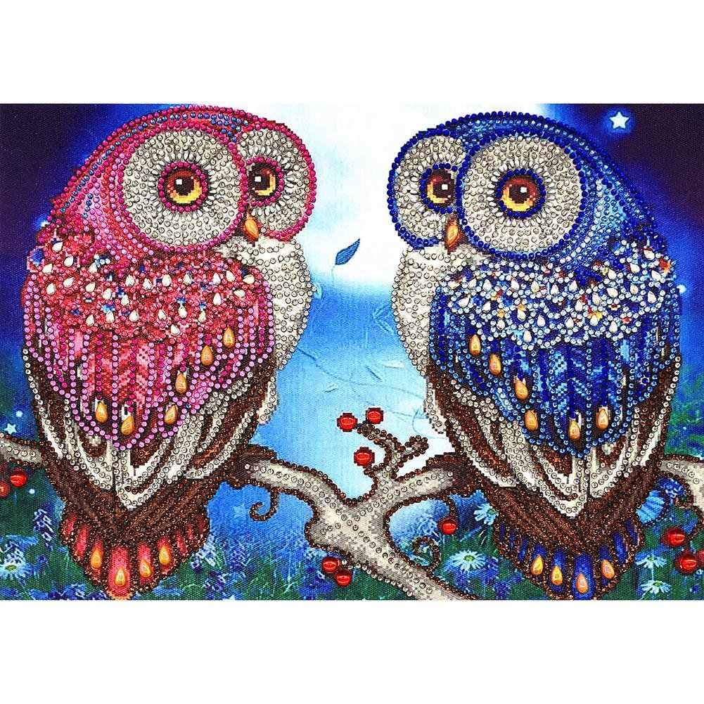 Partial Special Shaped Diamond Painting Owl  Craft Kits