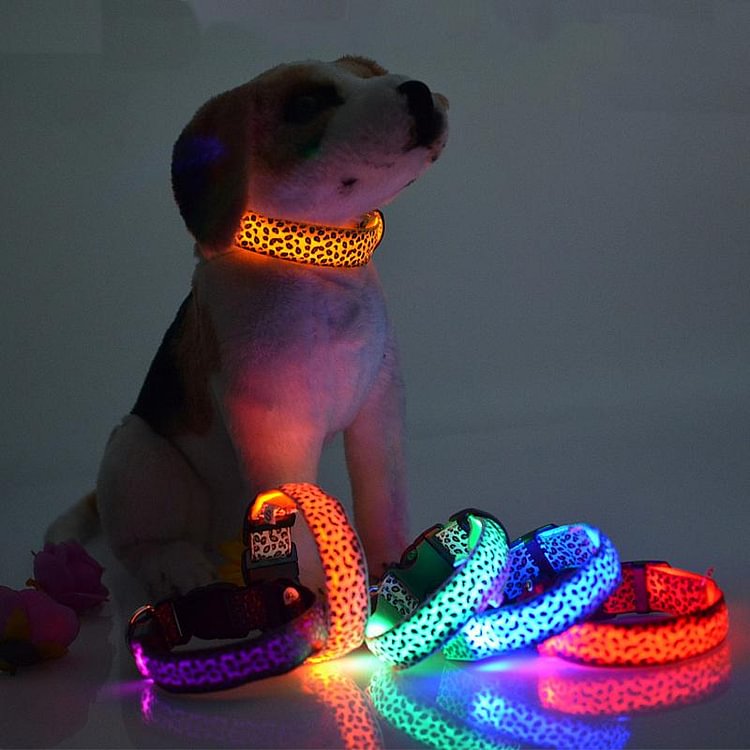 Pet Collar Recharge Sparkle Walk The Dog Night Led Flash Dog Leash Leopard-Print - tree - Codlins