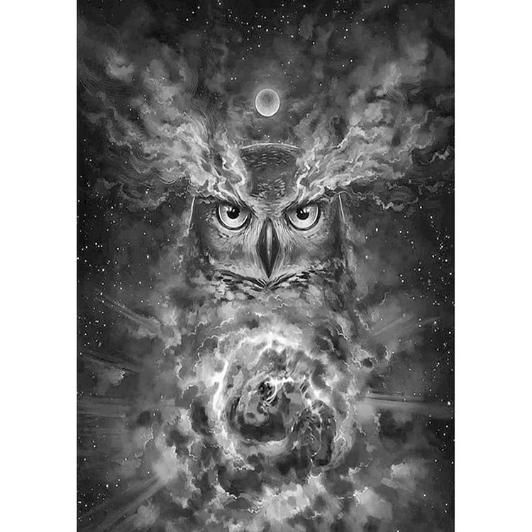 Black White Owl - Round Drill Diamond Painting - 30*40CM