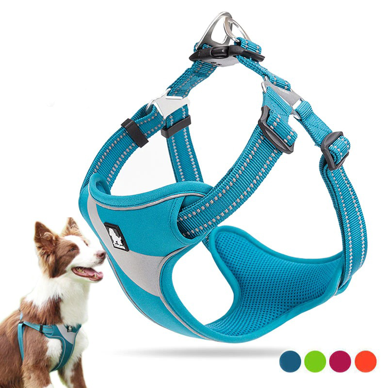truelove harness