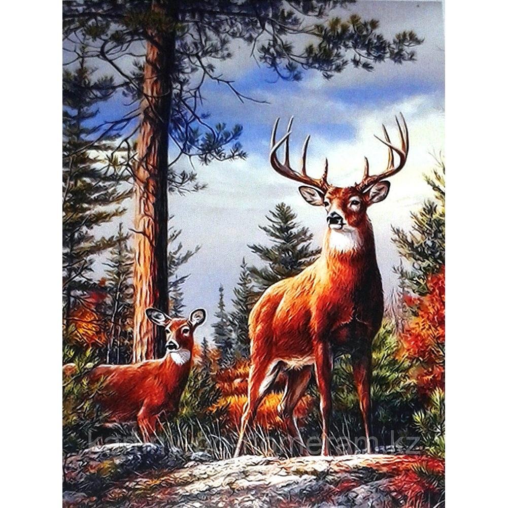 Full Round Diamond Painting Elk (40*30cm)