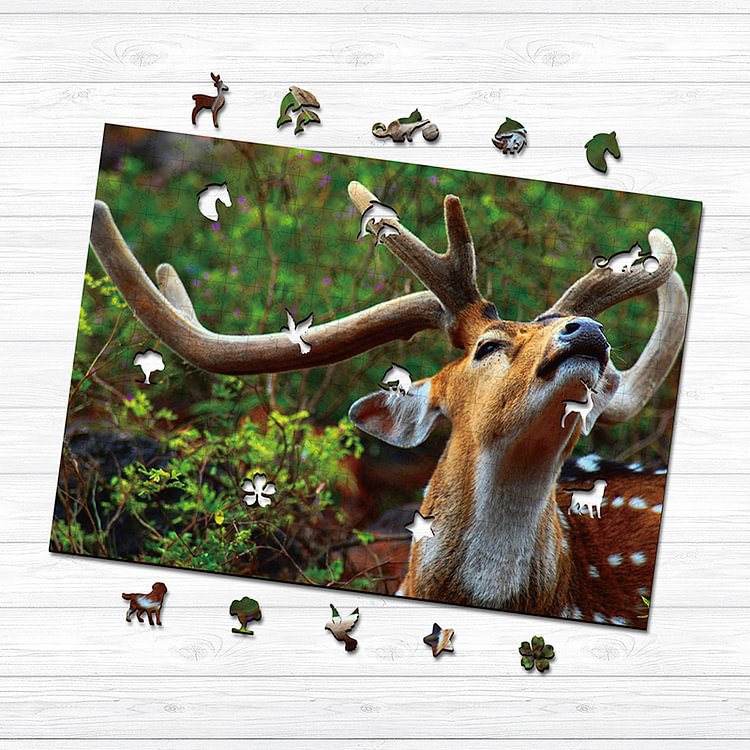  Sika deer Wooden Jigsaw Puzzle