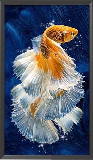 (11Ct Counted/Stamped) Goldfish- Cross Stitch Kit 30X55CM