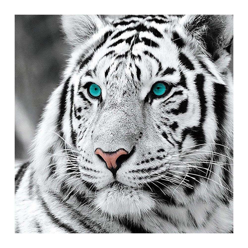 Full Round Diamond Painting Tiger Head (30*30cm)