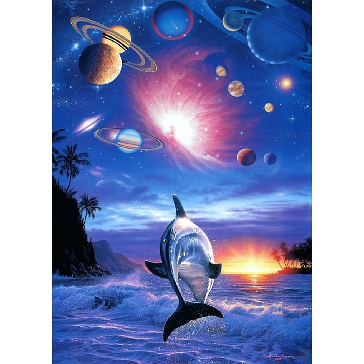 Novelty Dolphin - Full Round Drill Diamond Painting - 30x40cm(Canvas)