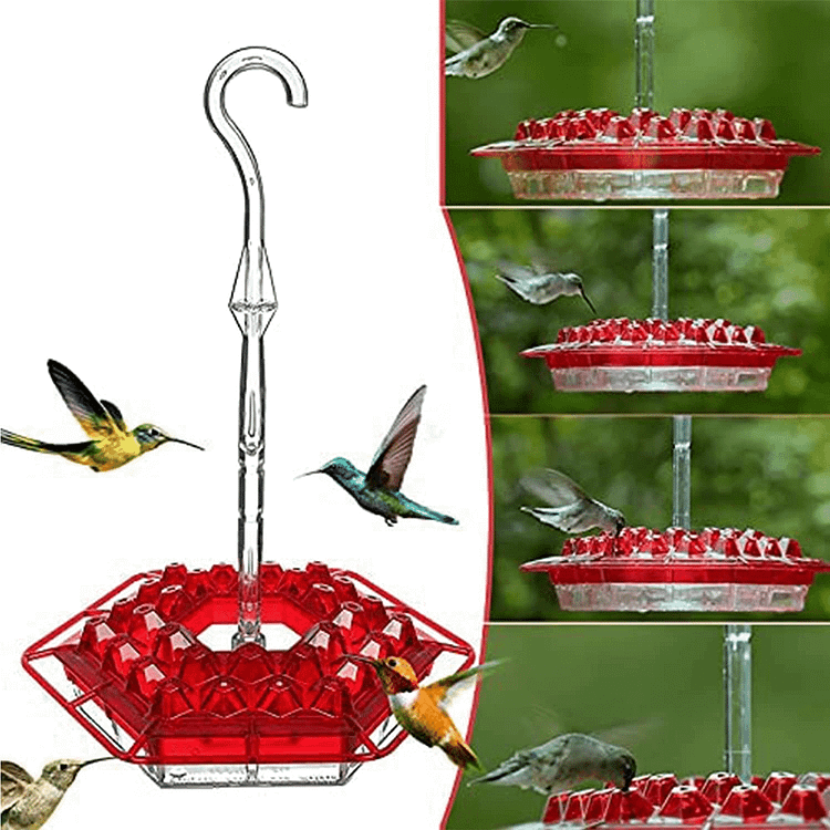 Hummingbird Feeder Outdoor Hanging Six Sides Hooked Bird Feeder - Sean - Codlins