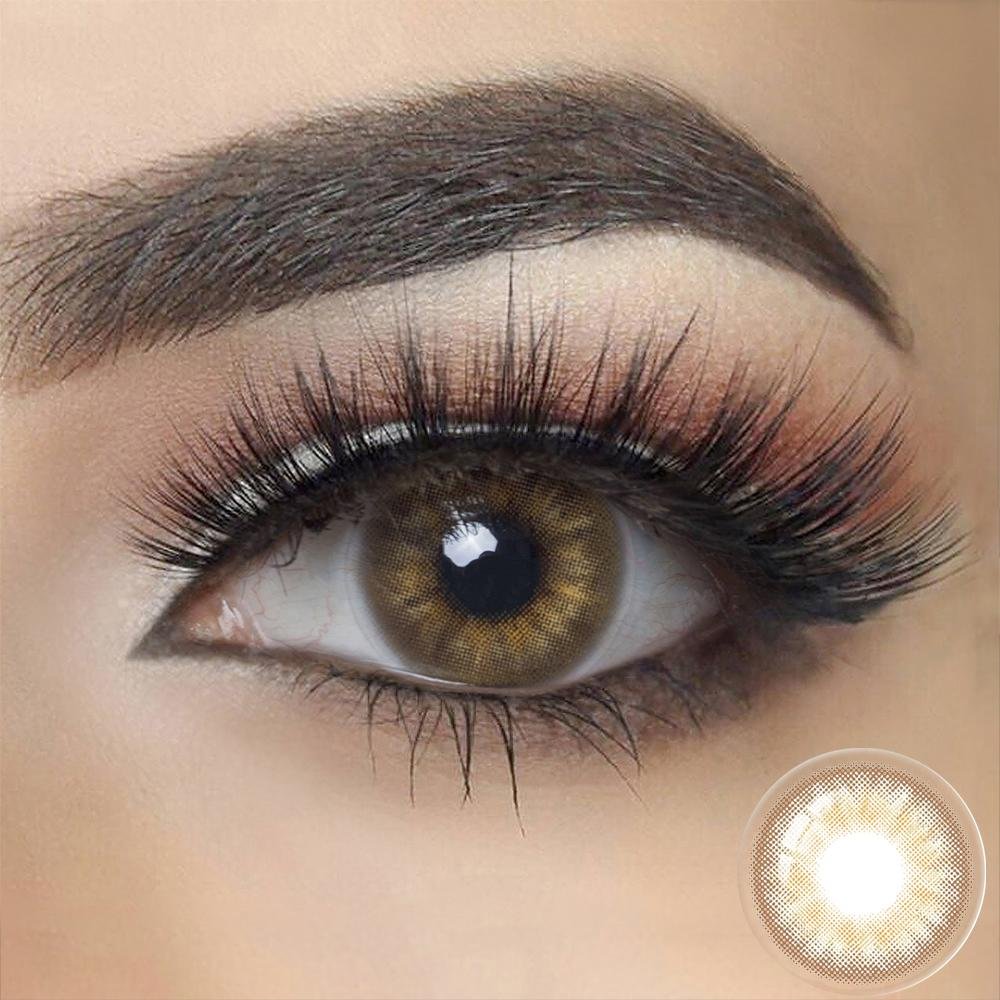 Symphony CIRCLE BROWN Colored Contact Lenses