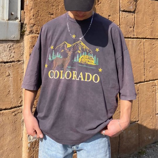 Colorado Wild Elk Forest Print T-shirt -  