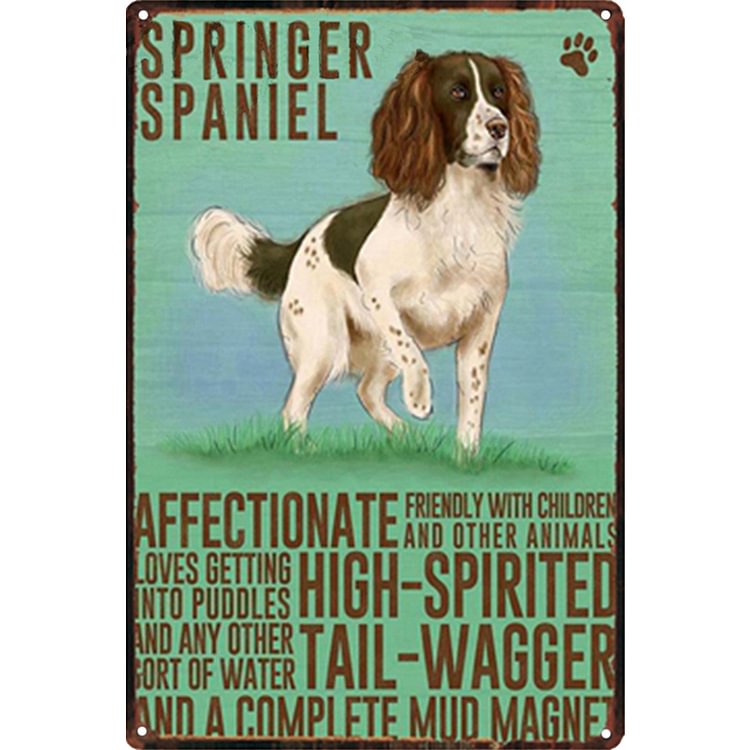Springer Spaniel Dog - Vintage Tin Signs