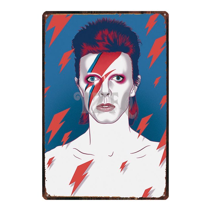 Music David Bowie - Vintage Tin Signs
