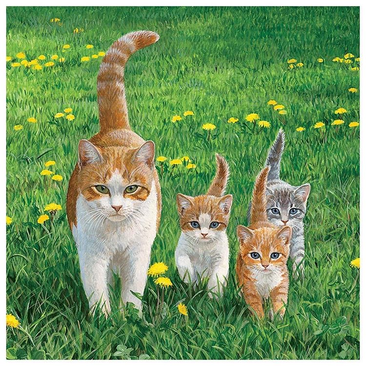 Famille cats - Diamant rond complet - 30x30cm