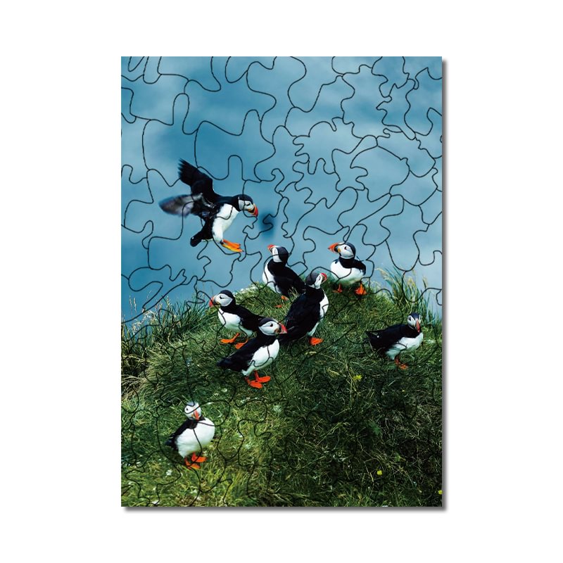 Jeffpuzzle™-JEFFPUZZLE™ The flying duck Puzzle