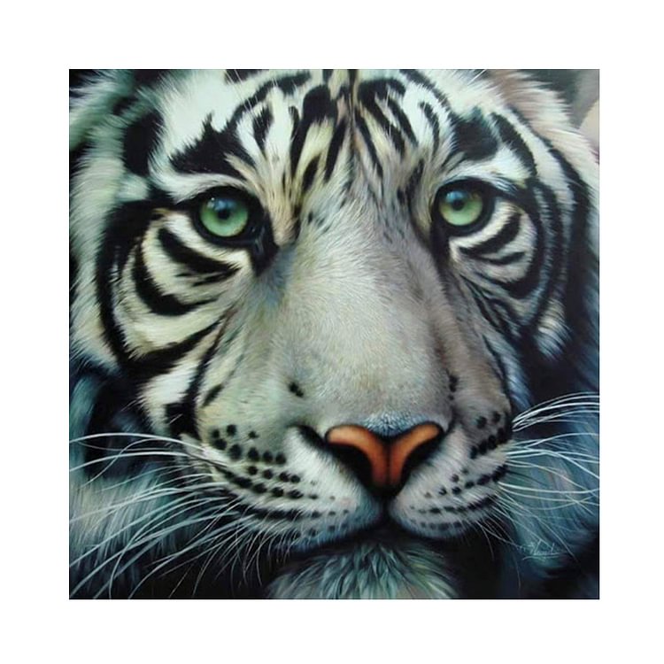 Tiger - Full Round Drill Diamond Painting - 30x30cm(Canvas)