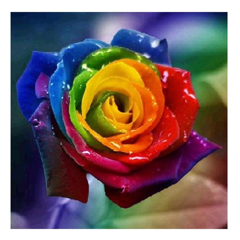 Full Round Diamond Painting Rainbow Rose (35*35cm)