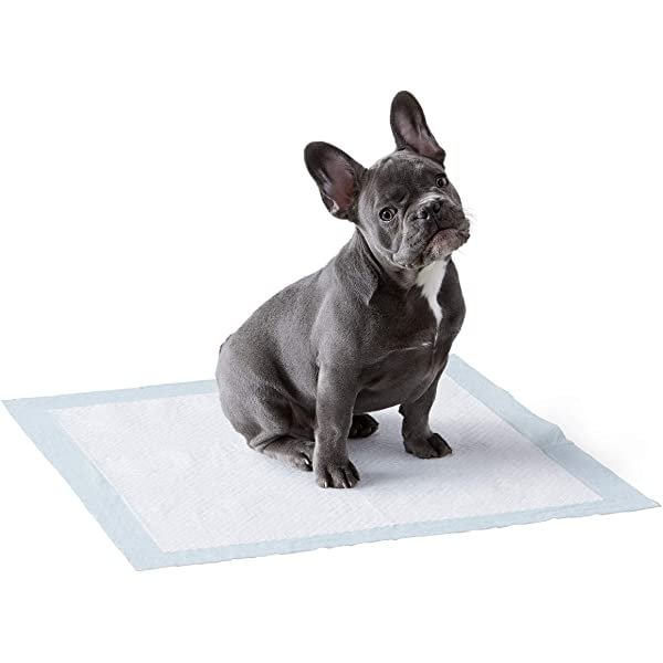 Amazon Basics Dog and Puppy Leak-proof 5-Layer Potty Training Pads with Quick-dry Surface