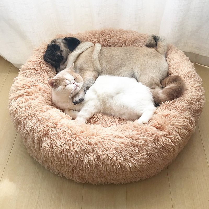 Super Soft Dog & Cat Bed