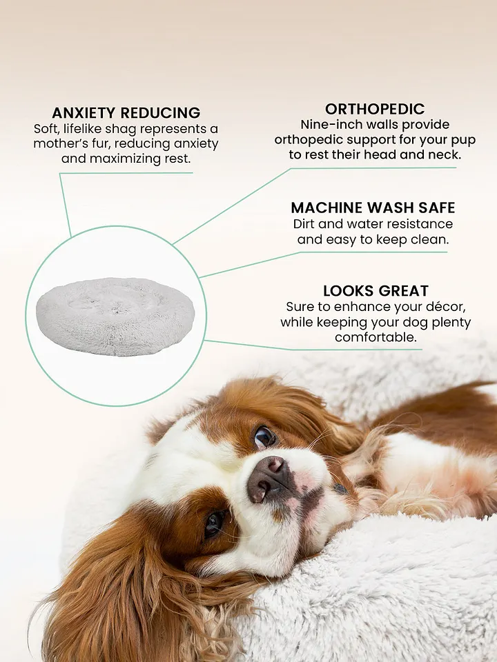 Curated visual reference: Calming Dog Bed The Original Super Comfy Anti Anxiety Pet Photo Inspiration