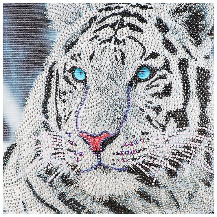 Tiger - Special Shaped Diamond Painting - 30*30CM